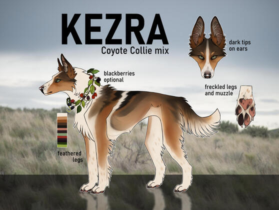 Feral Ref by : Cityscyes