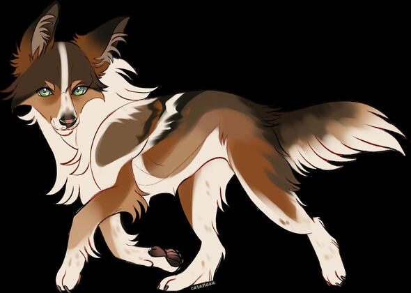 Kid Kez by : Casanova