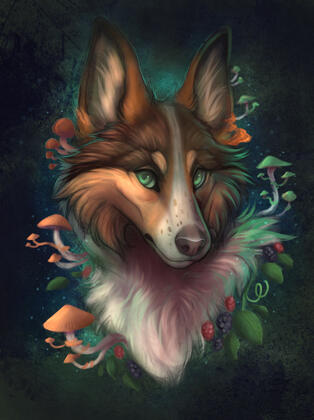 by : Khamisu